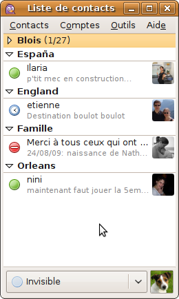Pidgin, un client multi-protocole Pidgin, un client multi-protocole