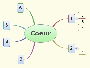 carte-heuristique-coeur.gif