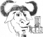 doc:groff-head.png