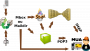 doc:mda.png