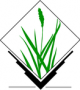 grass_logo.png