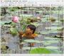gwenview-snapshot.png