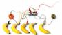 materiel:makey_makey.jpg