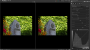 rawtherapee-4.2.0.png