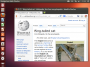 ubuntu-13.04-raring.png
