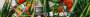 wbar.png