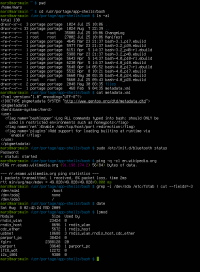 Une session de terminal ayant pour shell Bash Une session de terminal ayant pour shell Bash